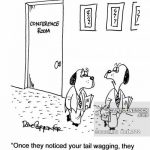 ‘Once they noticed your tail wagging, they stopped upping their offer.’